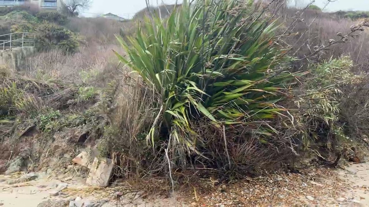 New landslides at Ocean Bay Swanage