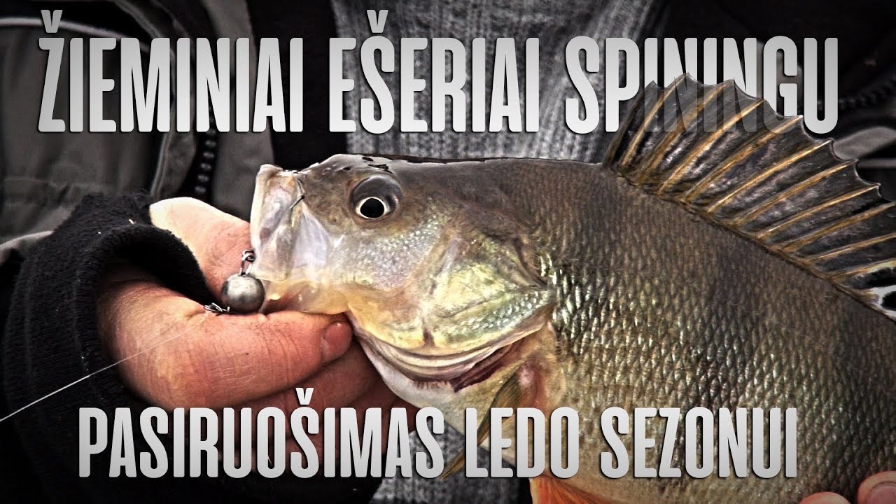 Apie žūklę 2017 12 23. Žieminiai ešeriai spiningu.