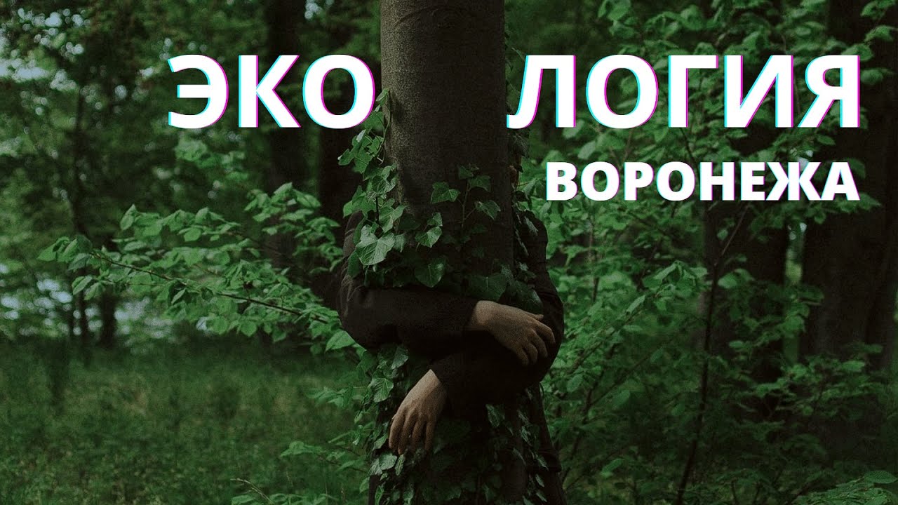 Экология Воронежа