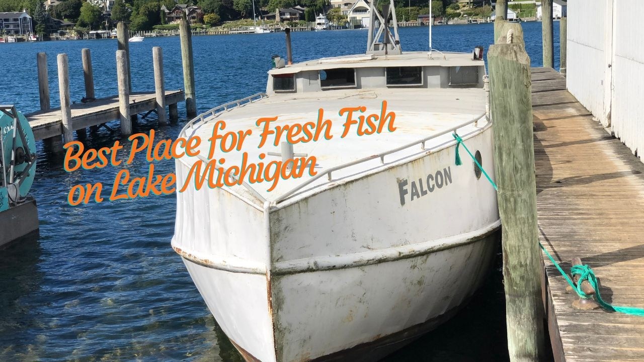 Best Place to Buy Fresh Fish on Lake Michigan with Freebird on The Great Loop