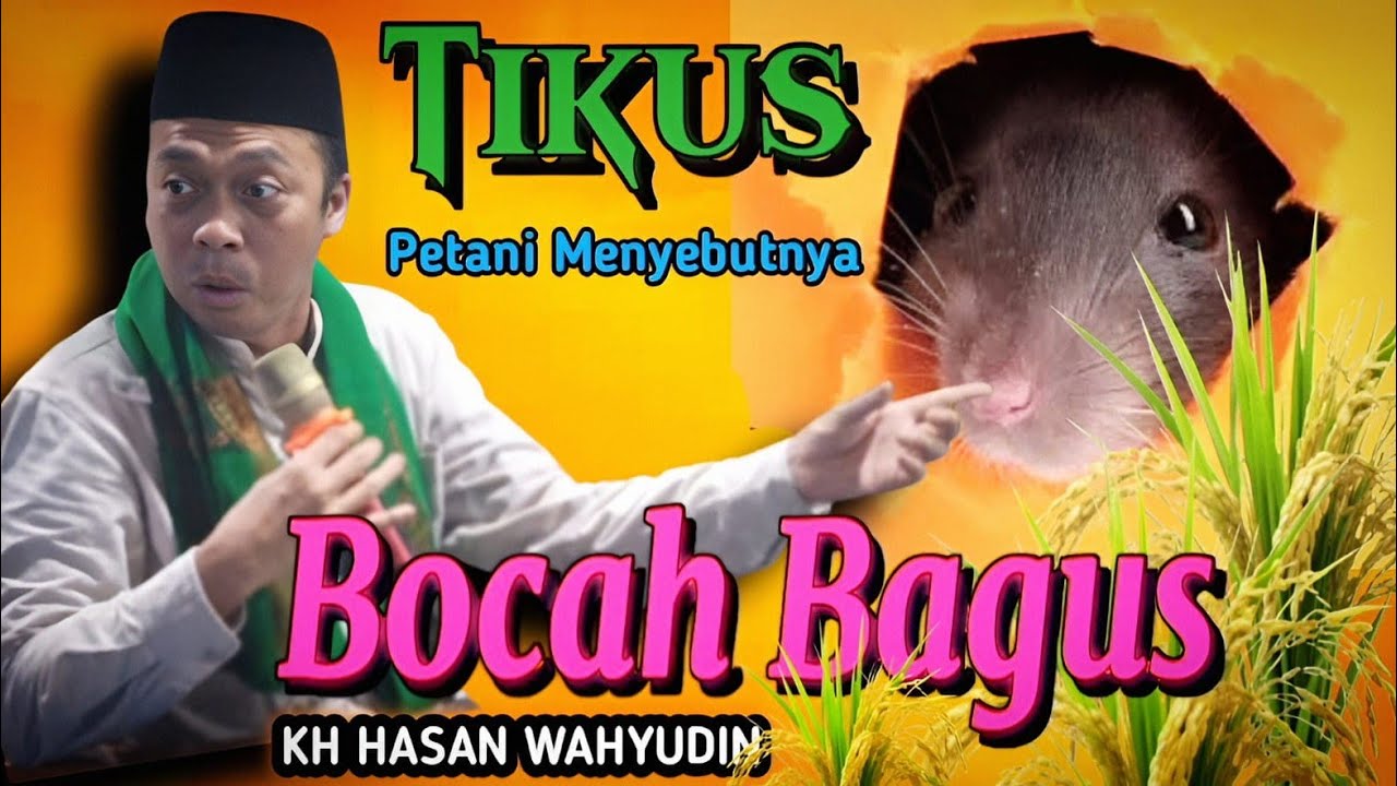 CERAMAH KH HASAN WAHYUDIN | KENAPA TIKUS JENENGANE BOCAH BAGUS
