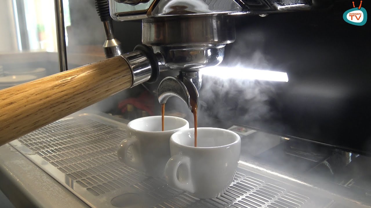 WissenTV on Tour - Ein Besuch in Mureck bei der Grieslerei-Cafe