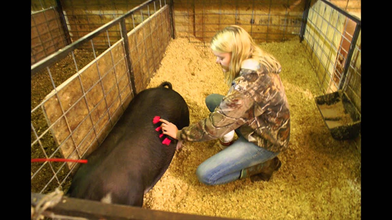 A Girl and Her Pig