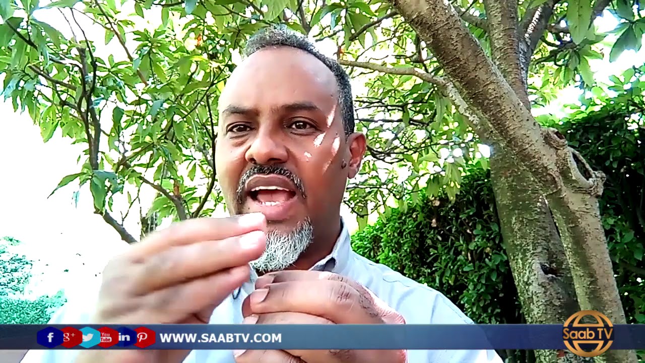 Barnaamijka Caafimaadka: Cudurrada Habdhiska Neef-Mareenka Iyo TB-Da