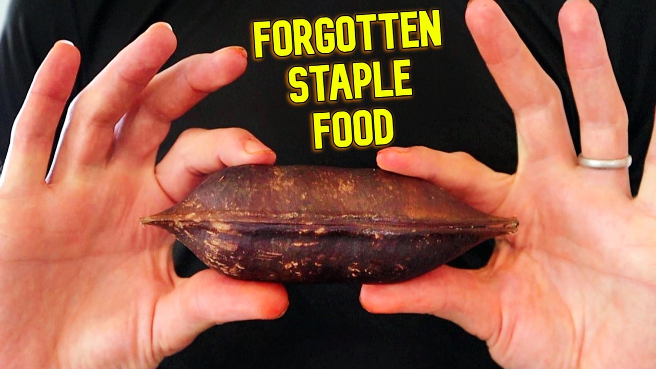 Forgotten Indigenous Foods of Australia - Moreton Bay Chestnut & Satin Ash