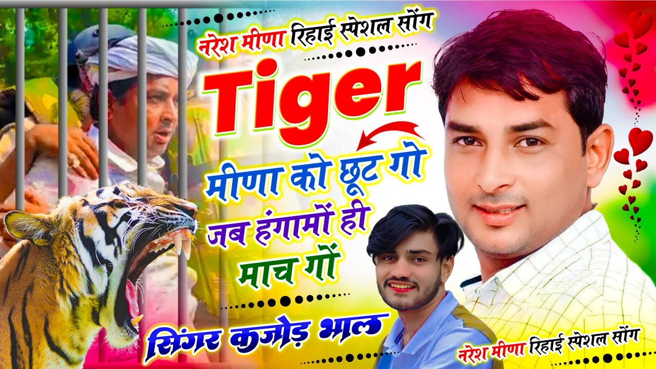 नरेश मीणा जमानत सोंग | टाइगर मीणा को छूट गो जब हंगामों ही माच गो | Singer Kajod Bhal ~ Naresh Meena