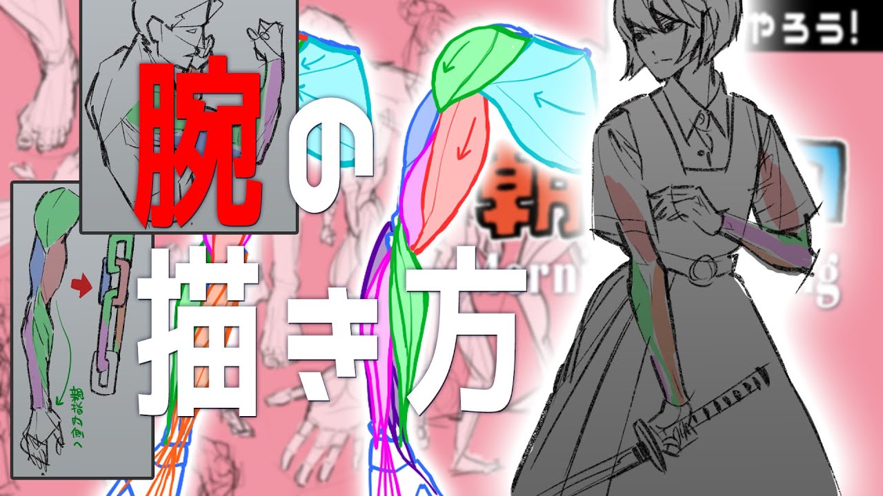 腕の筋肉解説完全版　朝ドロ#61 ９０秒ドローイング【初心者歓迎】Explains how to draw the muscles of the arms.