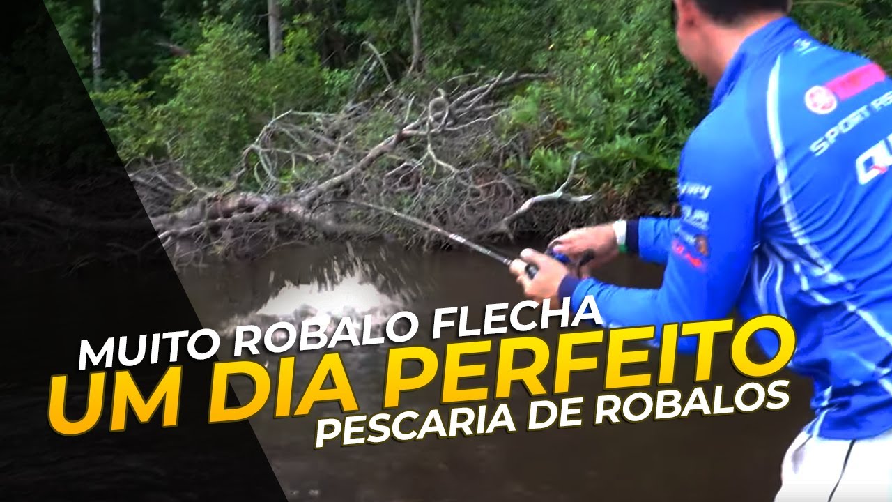 UM DIA PERFEITO - Pescaria de Robalos.... e Tucunaré!
