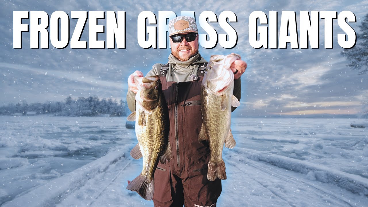 Catching GIANTS In The FROZEN Guntersville Grass!