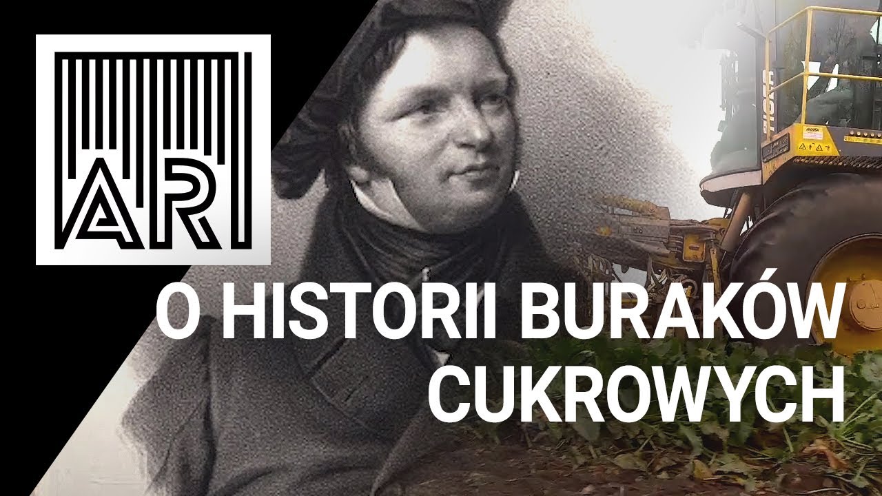Historia buraków cukrowych w Polsce II AR #90