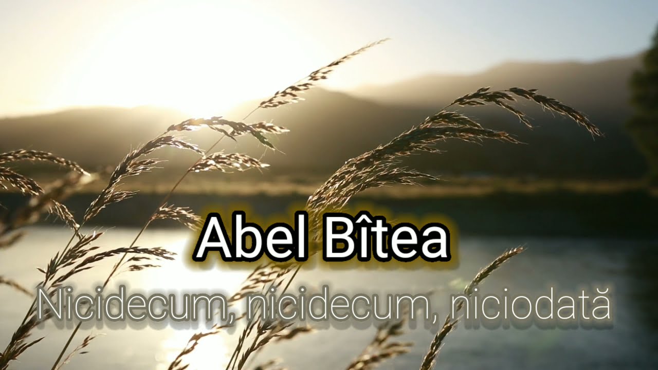 Nicidecum, nicidecum niciodată  -  Abel Bîtea ( Official video )