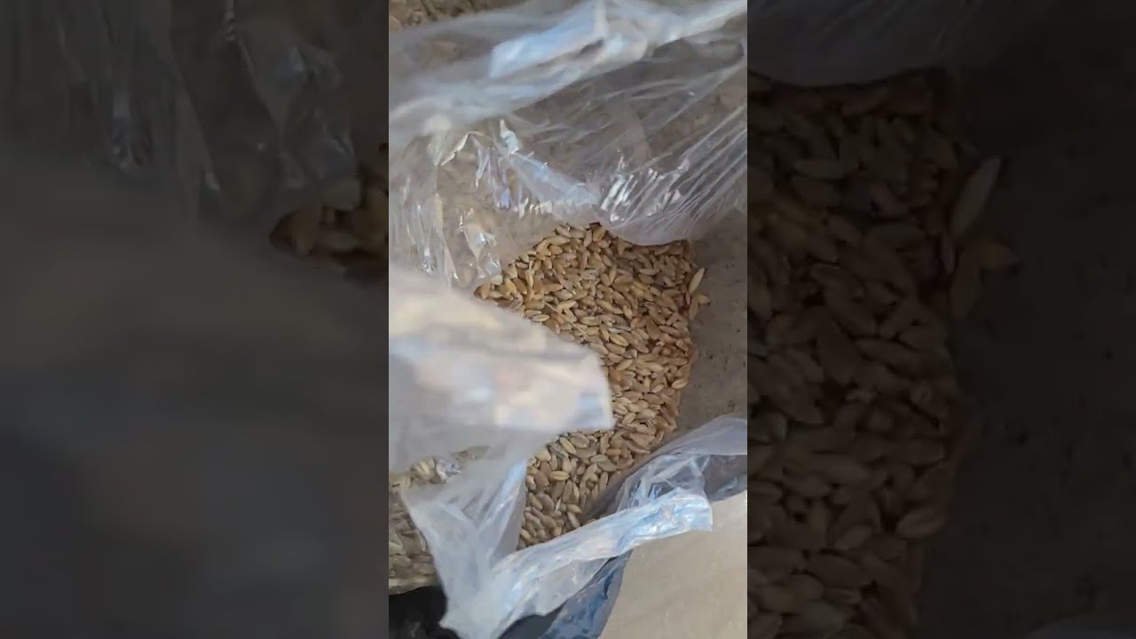 Yusufelinde soğuk birgun