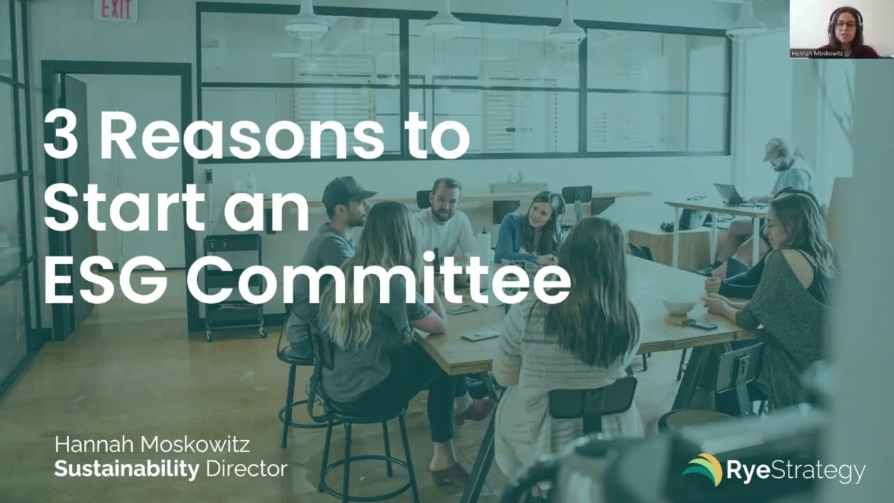 What is an ESG Committee?