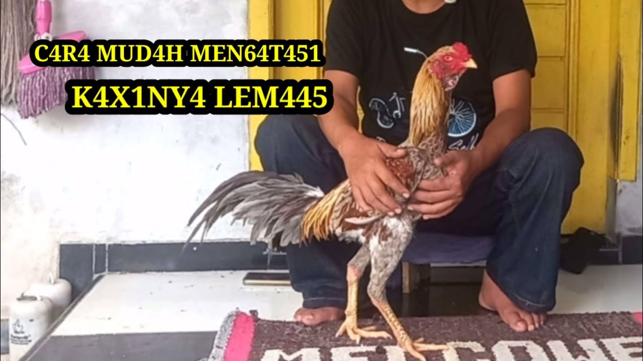 Kakinya Lemas Begini cara mengatasinya