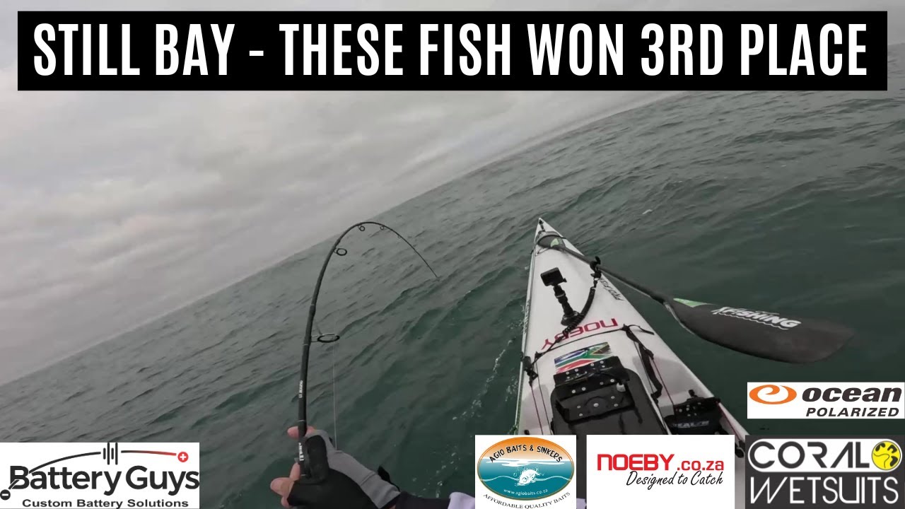 Рыбалка в заливе Still Bay - эти рыбы заняли 3-е место