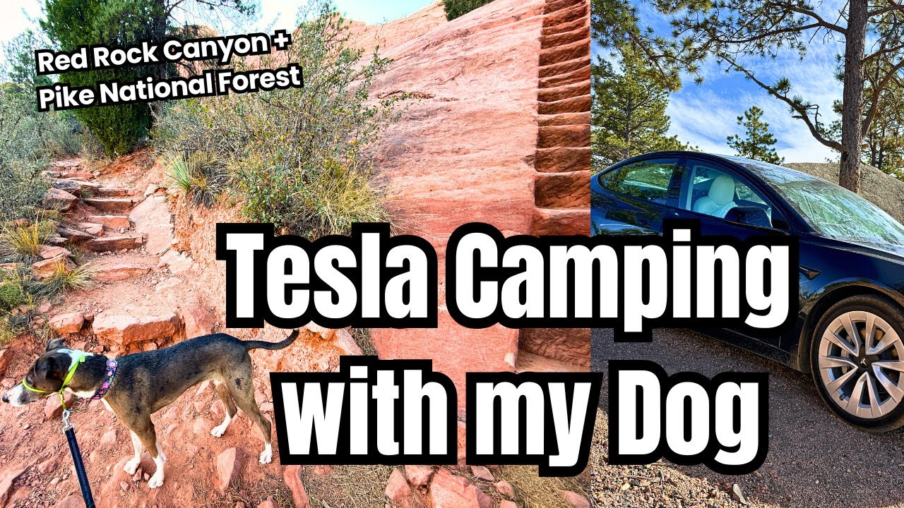 Tesla Camp Mode with my Dog | Red Rock Canyon & Pike National Forest
