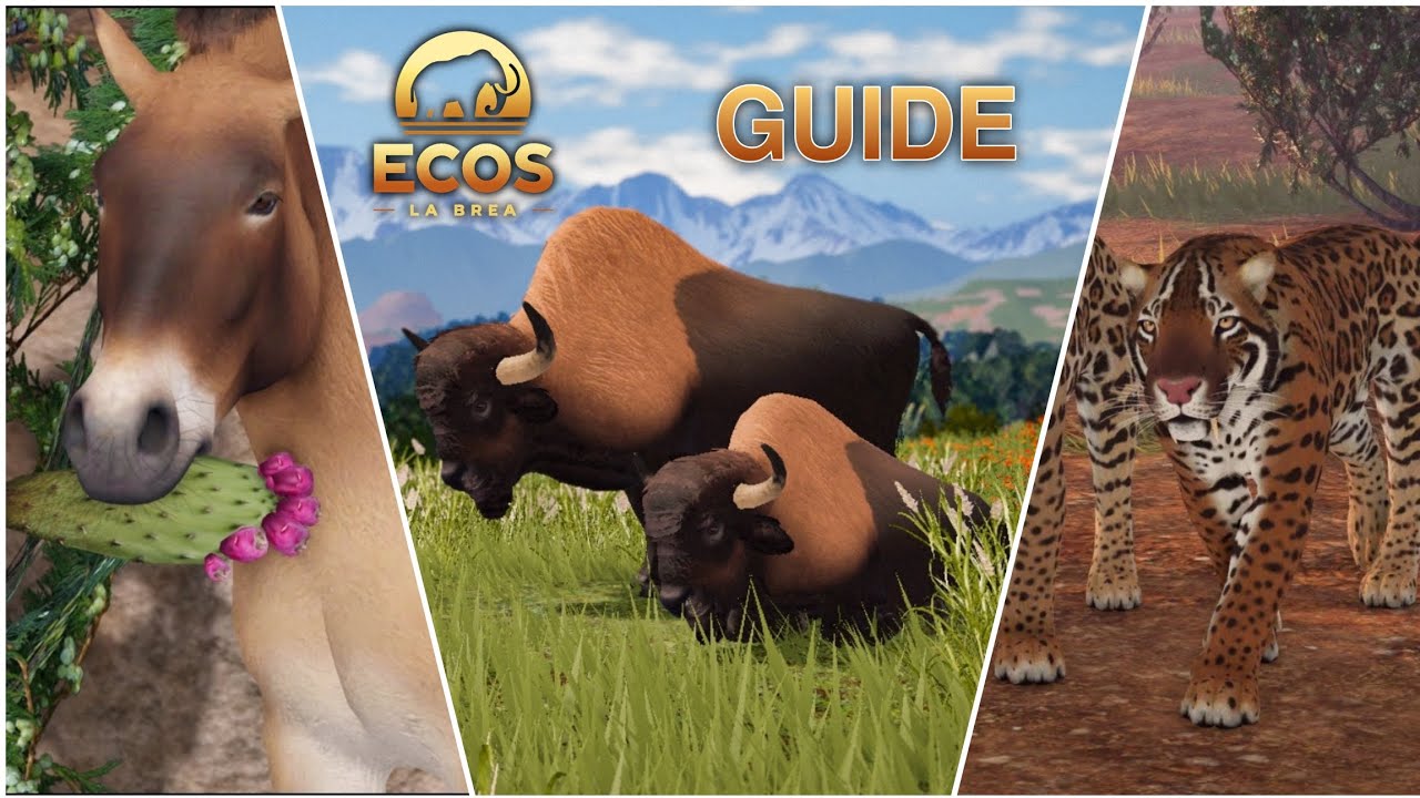 Ecos La Brea : The Guide, How to Play