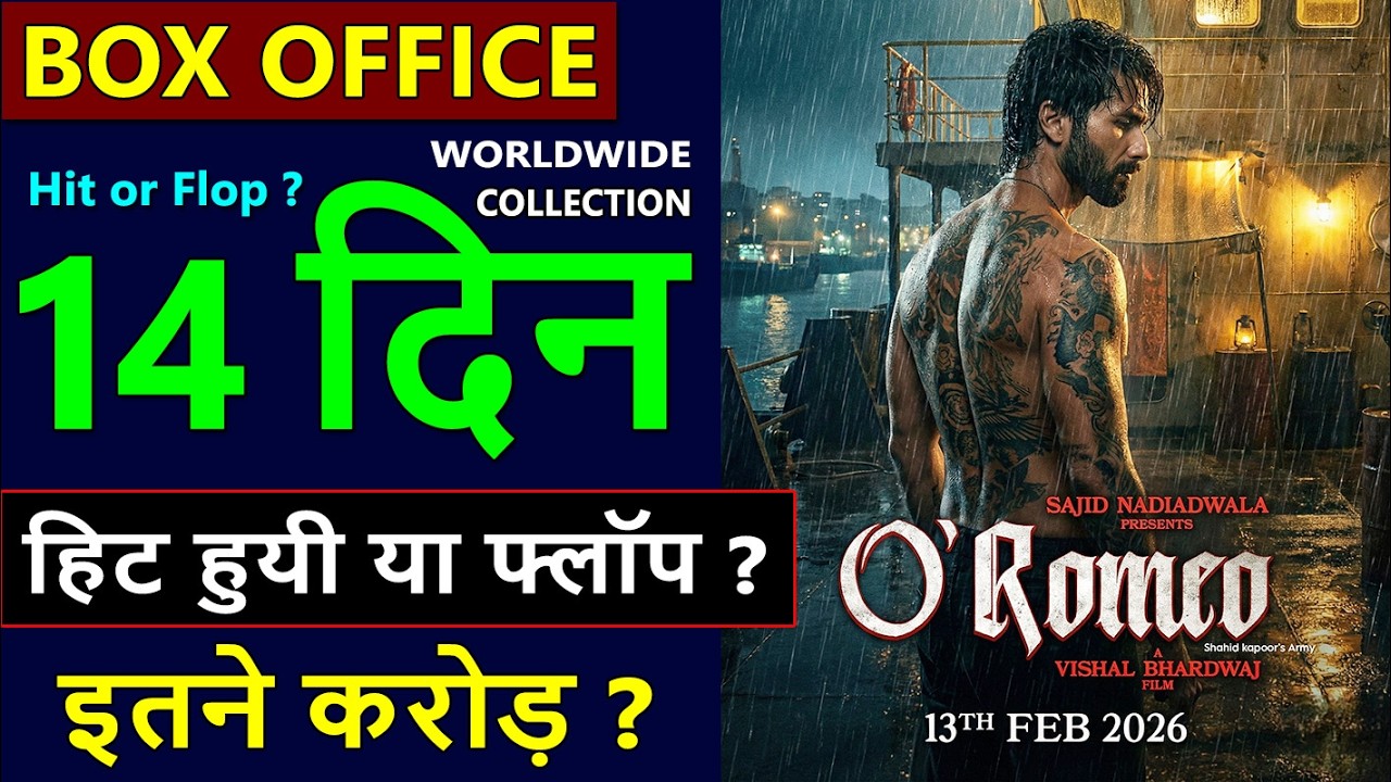O Romeo Box Office Collection 14, total worldwide collection, O Romeo hit or flop, shahid kapoor