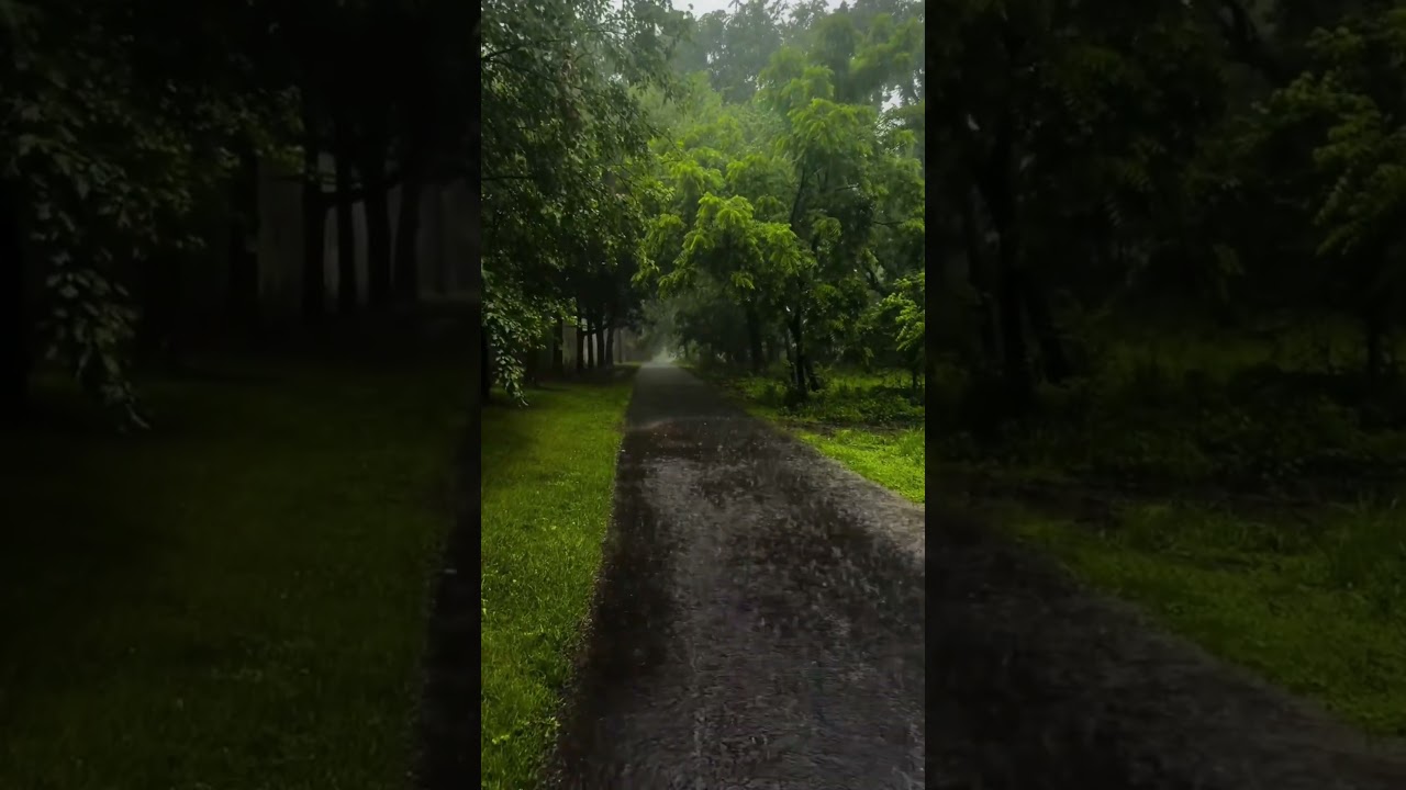 Fall Asleep in 3 Minutes – Cure For Insomnia to 