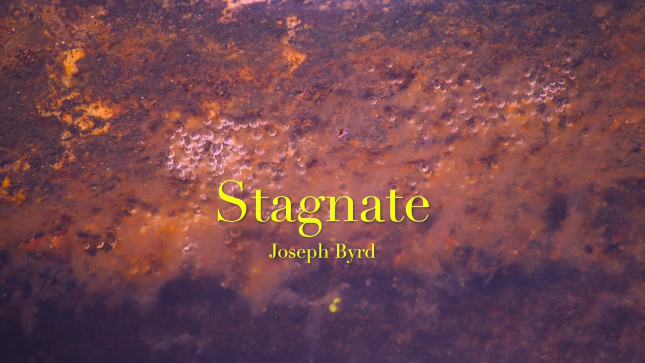 Stagnate (Song by Joey Byrd)