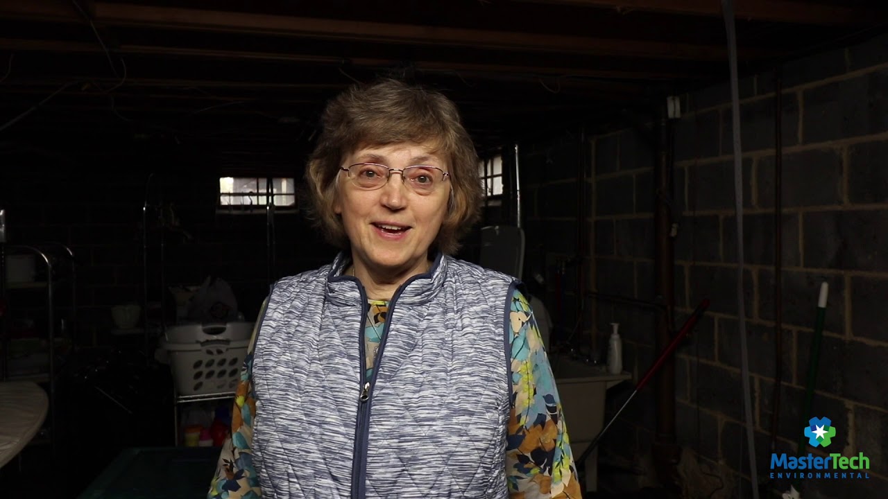 Mary Ellen Mauro Mold Removal Testimonial