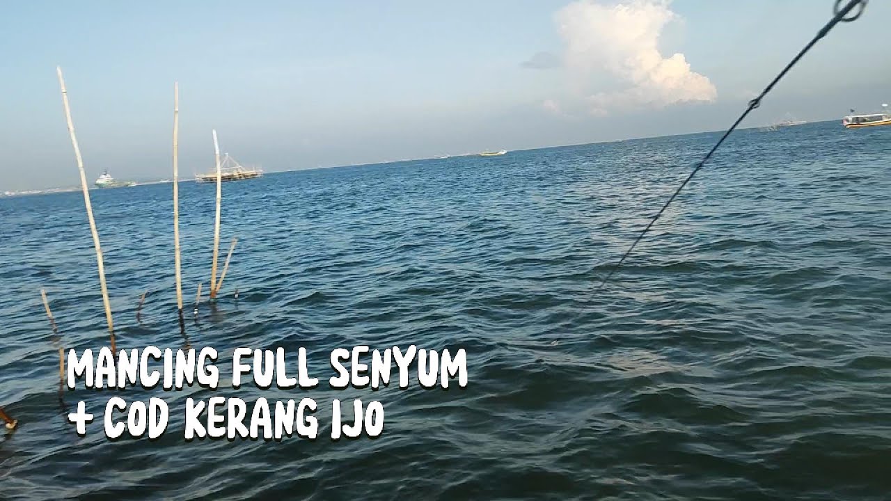 Mancing Kakap & Kerapu Babon + COD Kerang Ijo #mancing #mancingmania #strike #kerangijo