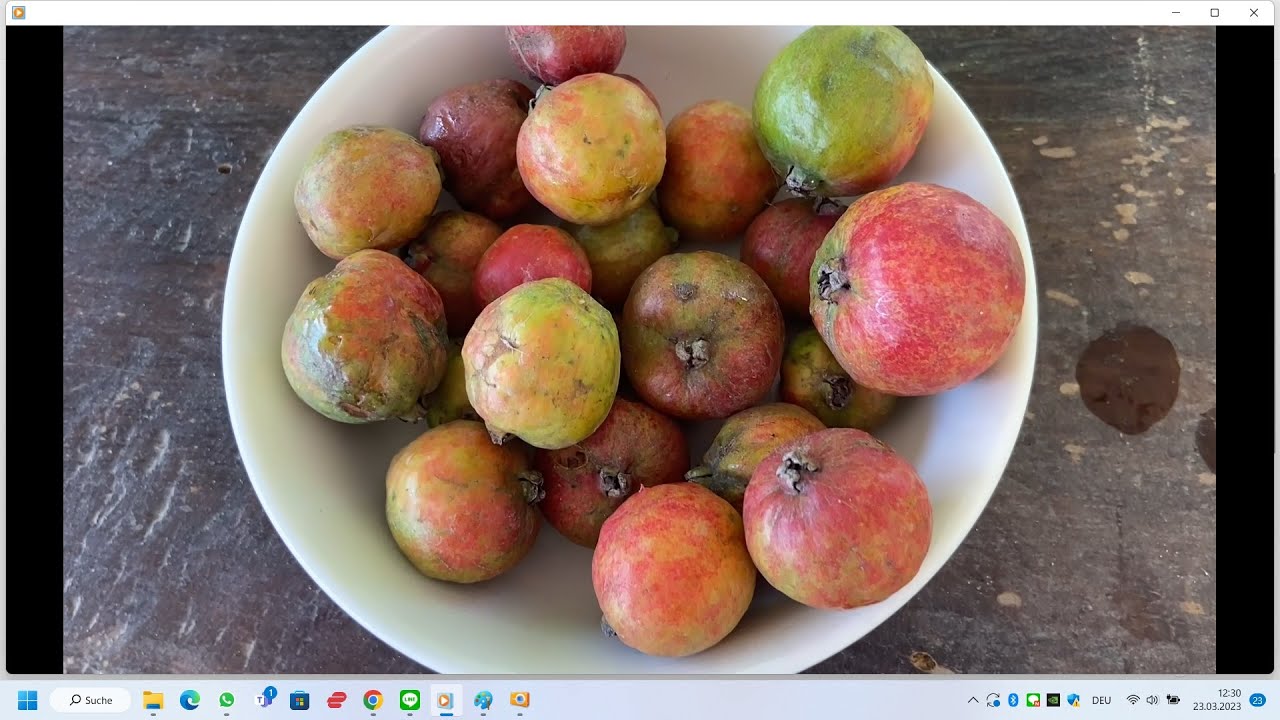 Strawberry guava: tiny but tasty fruit