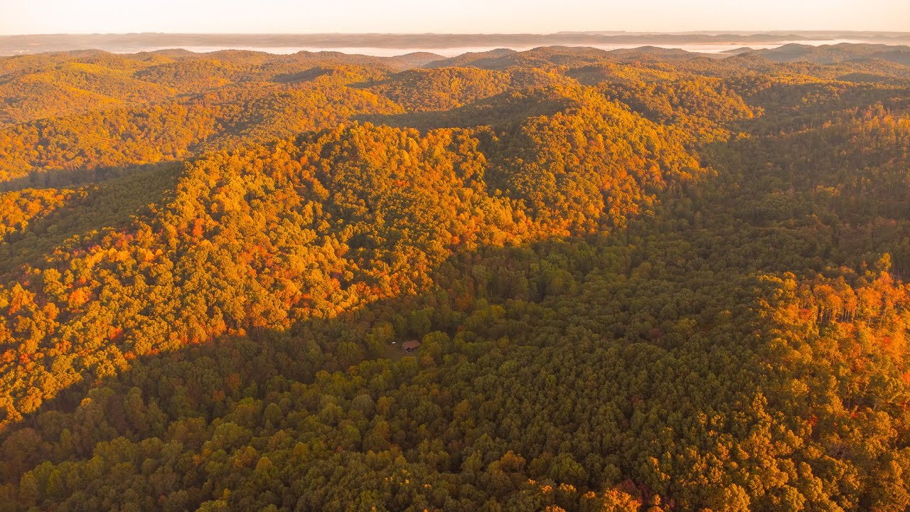 220 ACRES WITH A CABIN IN SOUTHERN OHIO - LAND FOR SALE