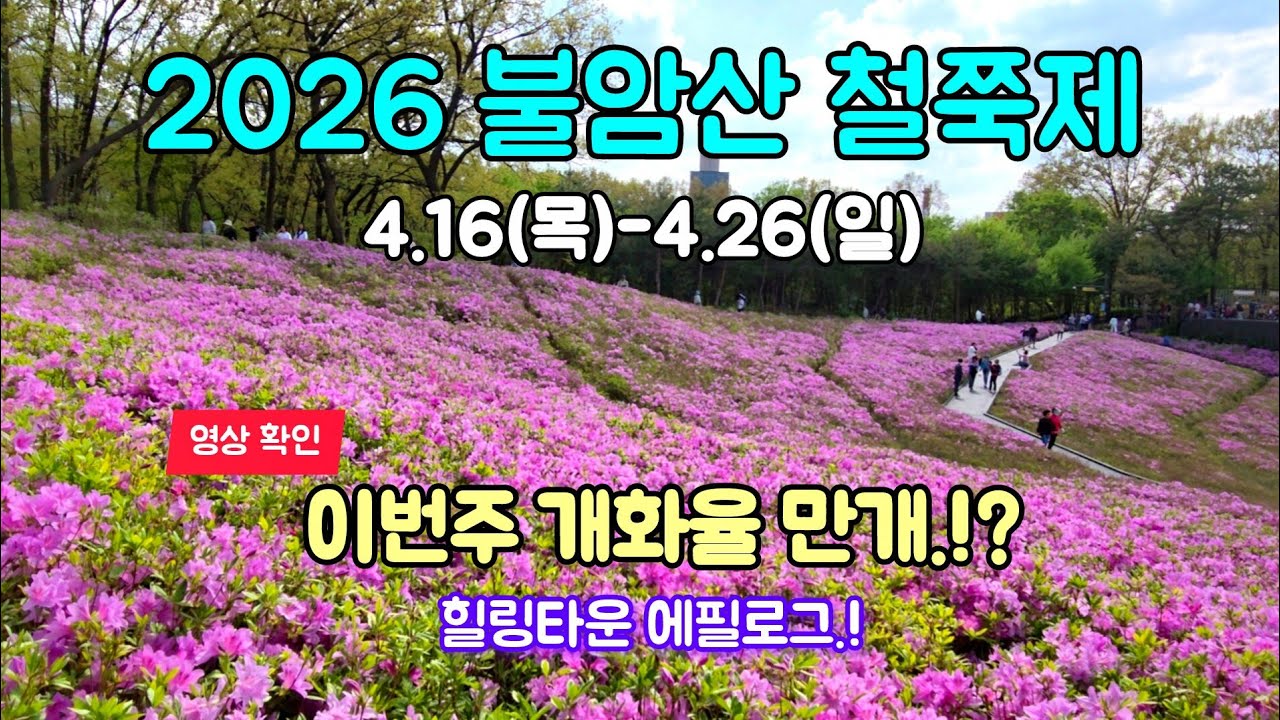 2026 불암산 철쭉제🌺 미리 방문했습니다. | 4.12(화) 실시간 개화 상황 | 불암산전망대. 무장애 데크길 등 힐링타운 소개