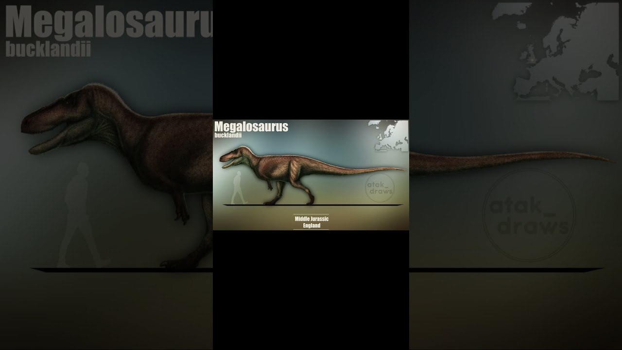 Megalosaurus 