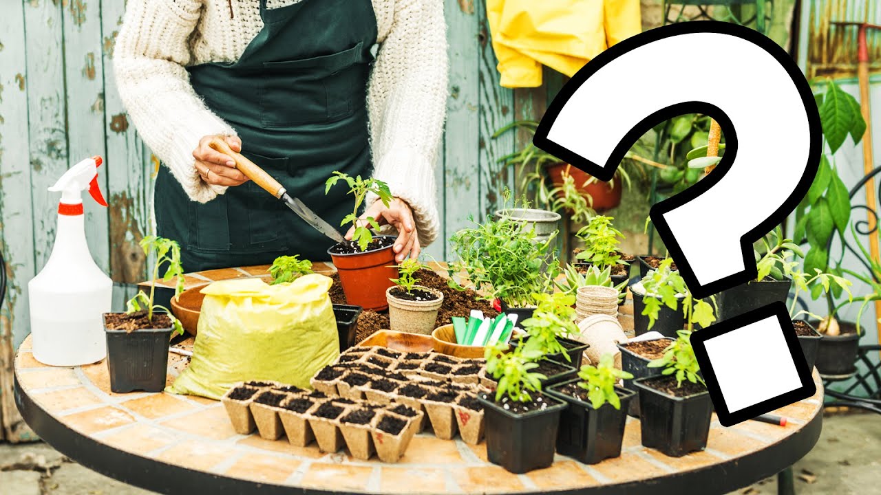How to Choose the Right Vegetables to Grow in your Garden?