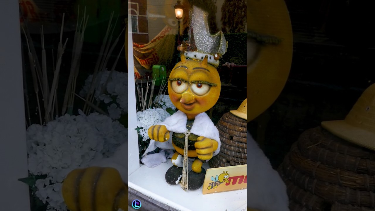 Meli Park l'anc&ecirc;tre de Plopsaland ! #shorts
