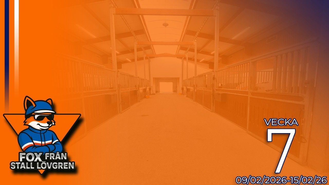 Patriot Newport is Back !! Vecka 7!!