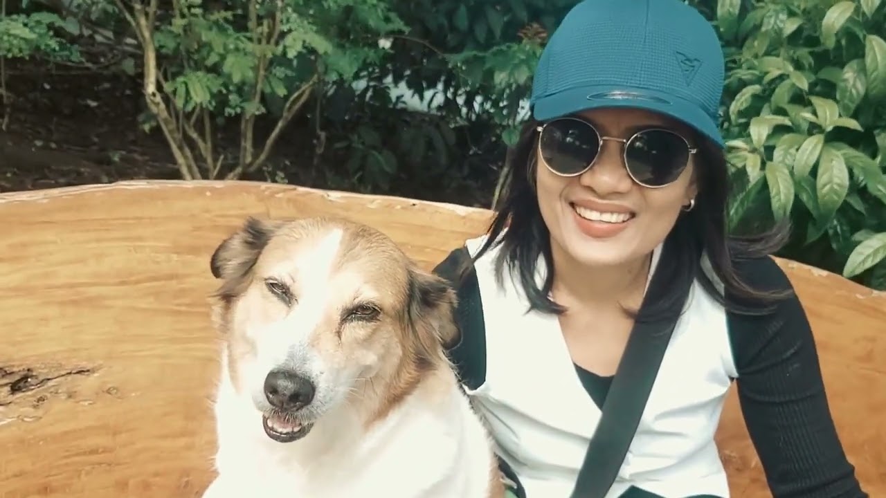 Bulalo Feast with a view and our dogs in tagaytay 🐶🛖🍲📍