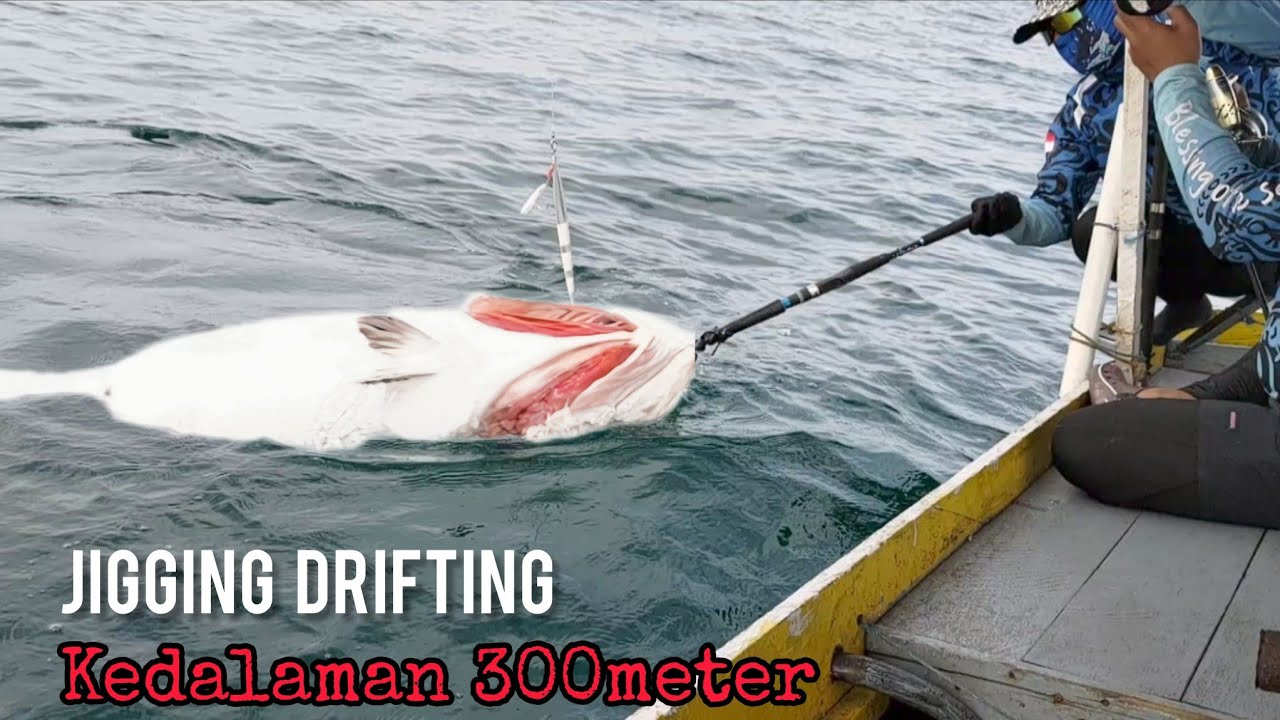Mancing jigging monster dogtooth tuna 