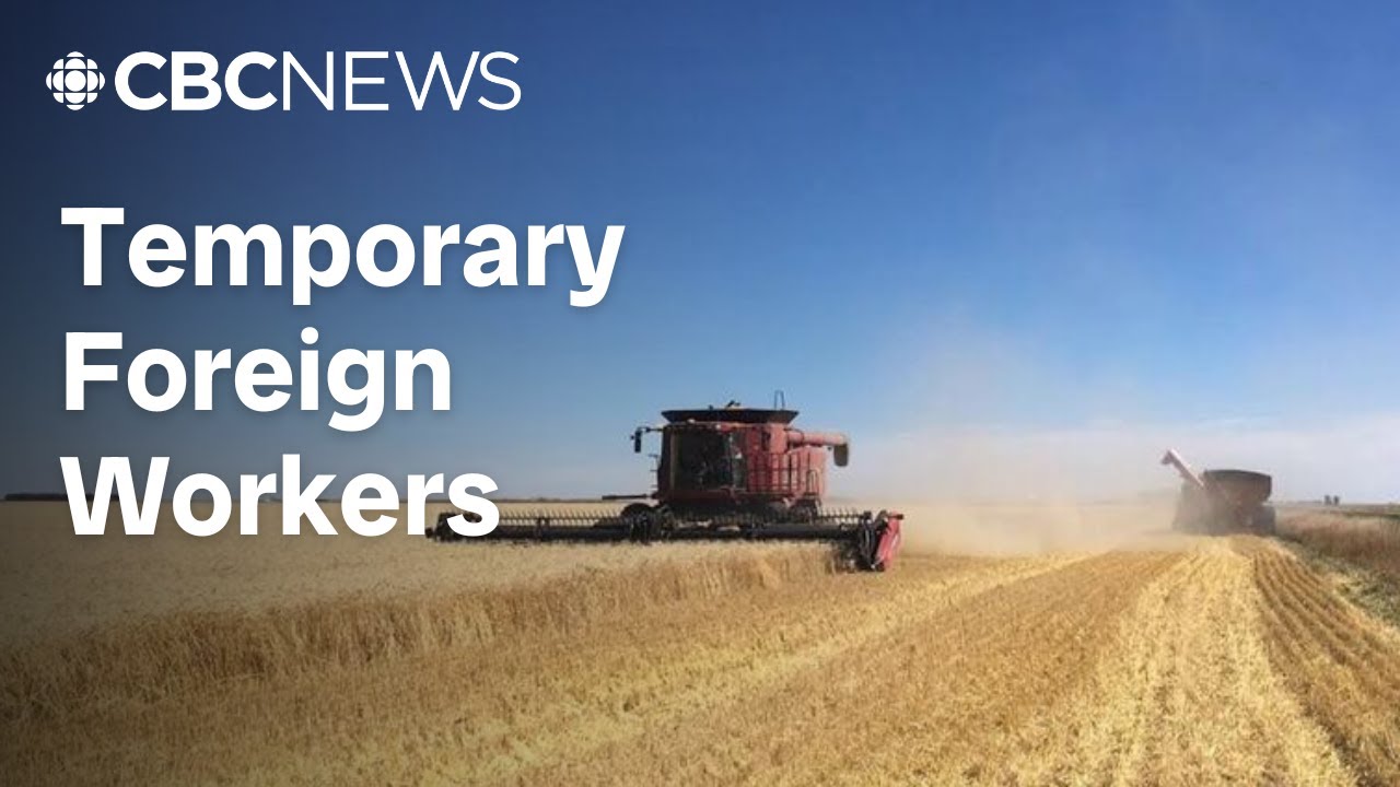 Are temporary foreign workers essential to keep Sask's economy growing?