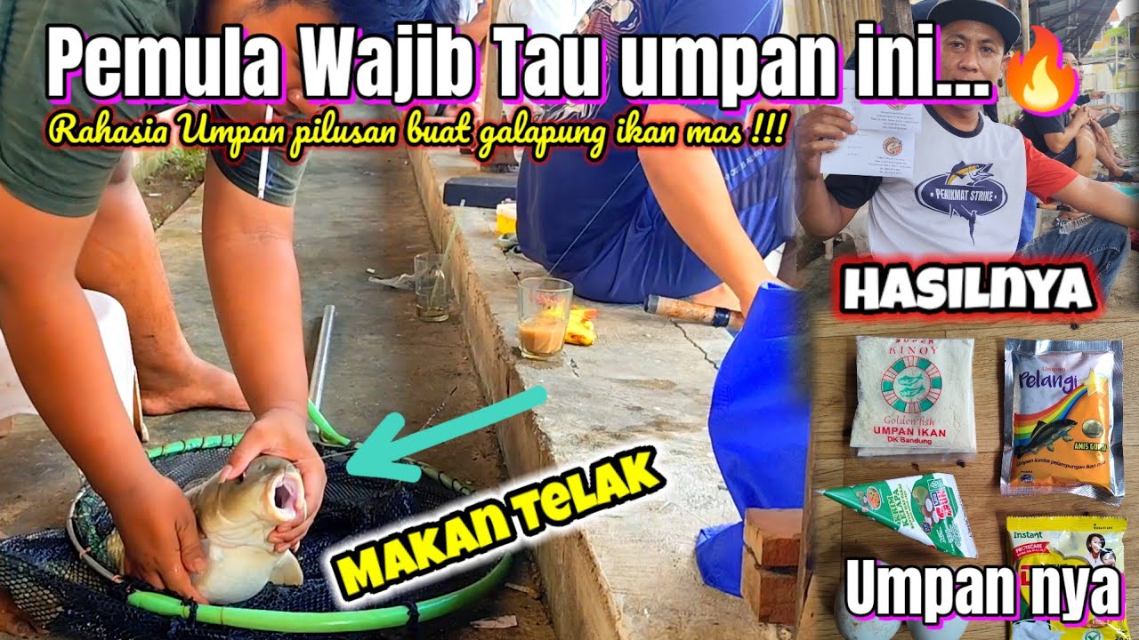 Bongkar 🔥 pilusan terjahat galapung ikan mas || galapung ikan mas @Anton cs fishing