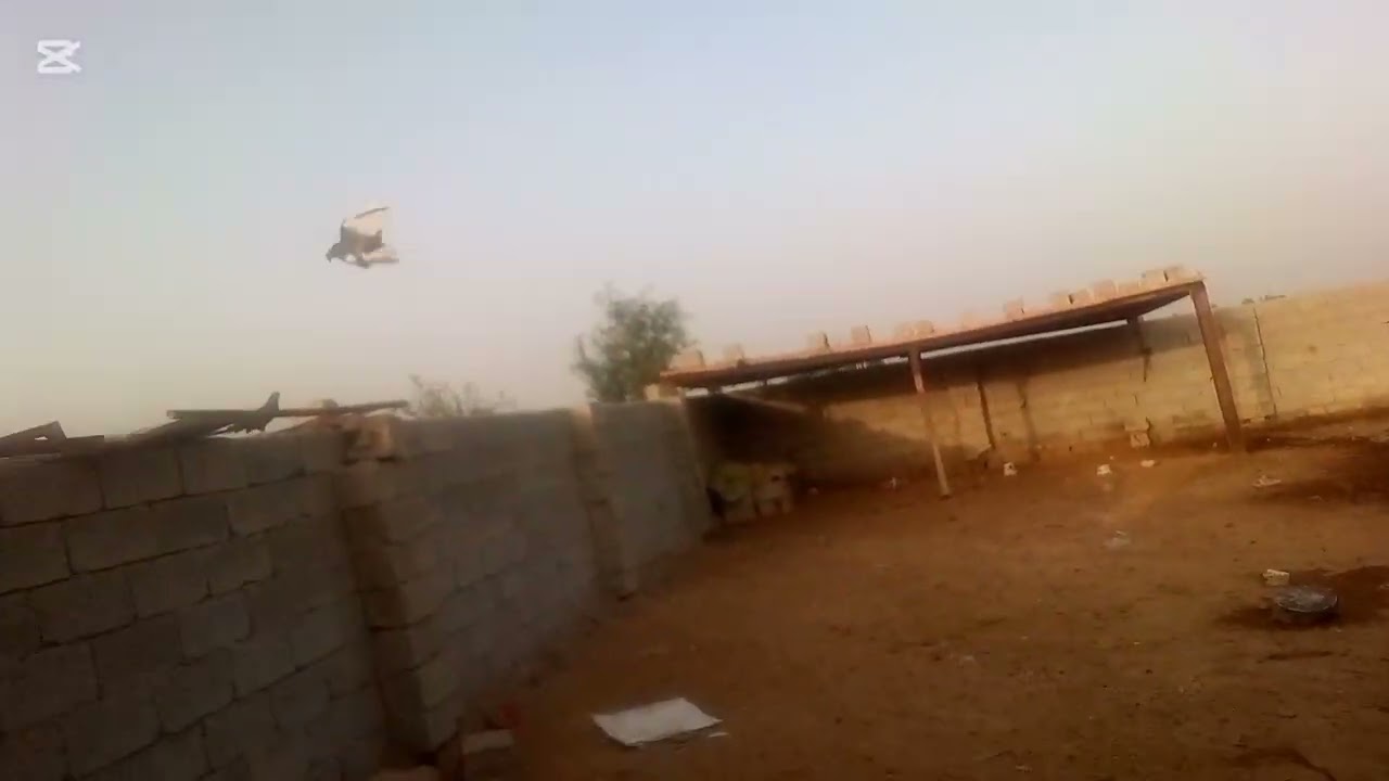 بسم الله اشتريت نوع مال حمام هوه؟، حطلايك