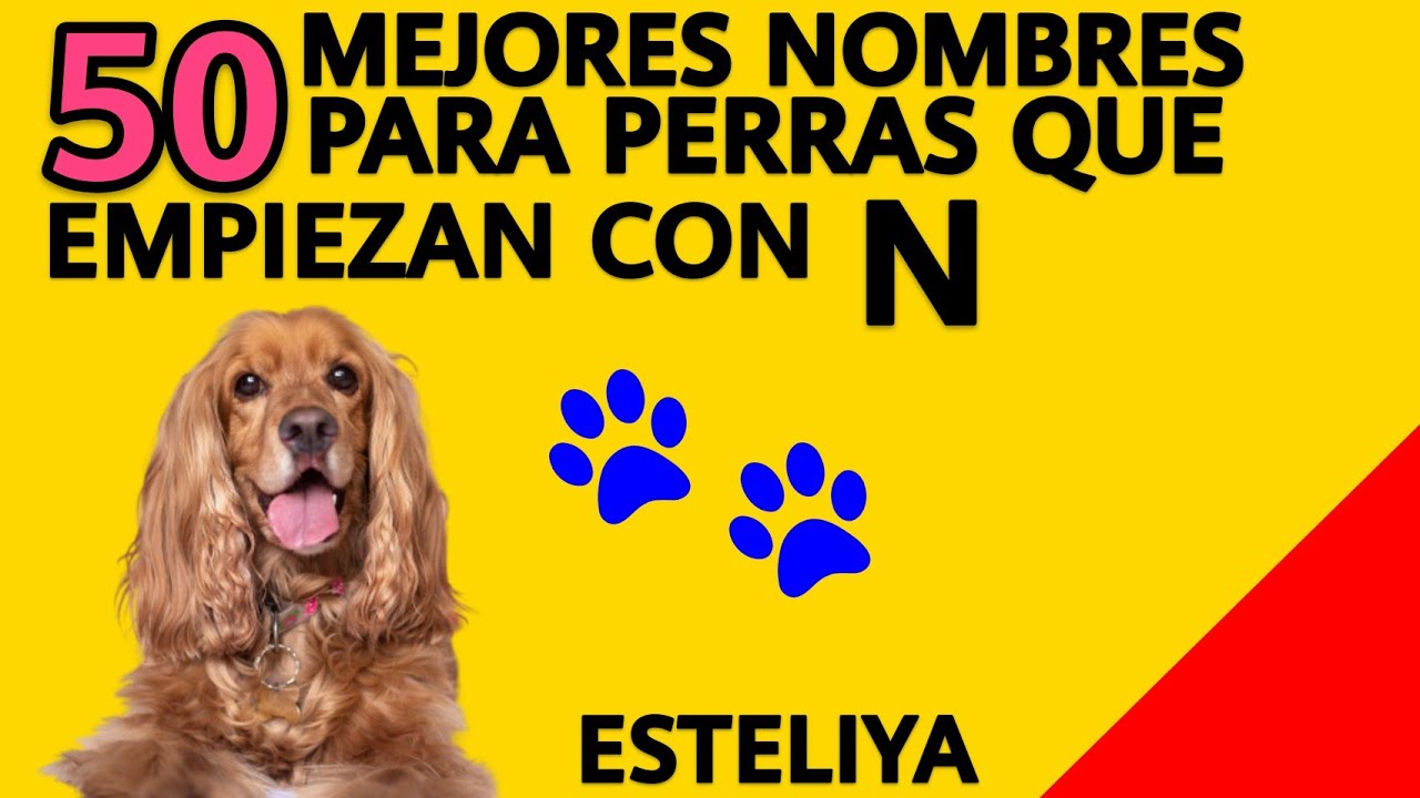 NOMBRES PARA PERRAS CON N.