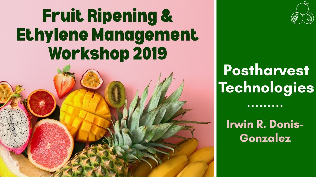 Fruit Ripening and Ethylene Workshop | Postharvest Technologies | Irwin R. Donis-Gonzalez