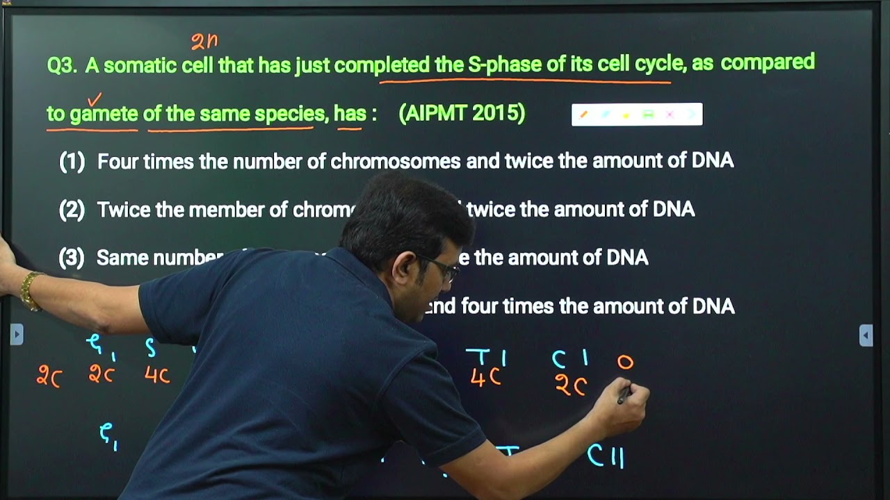 How to Solve Questions of Cell Cycle and Cell Division