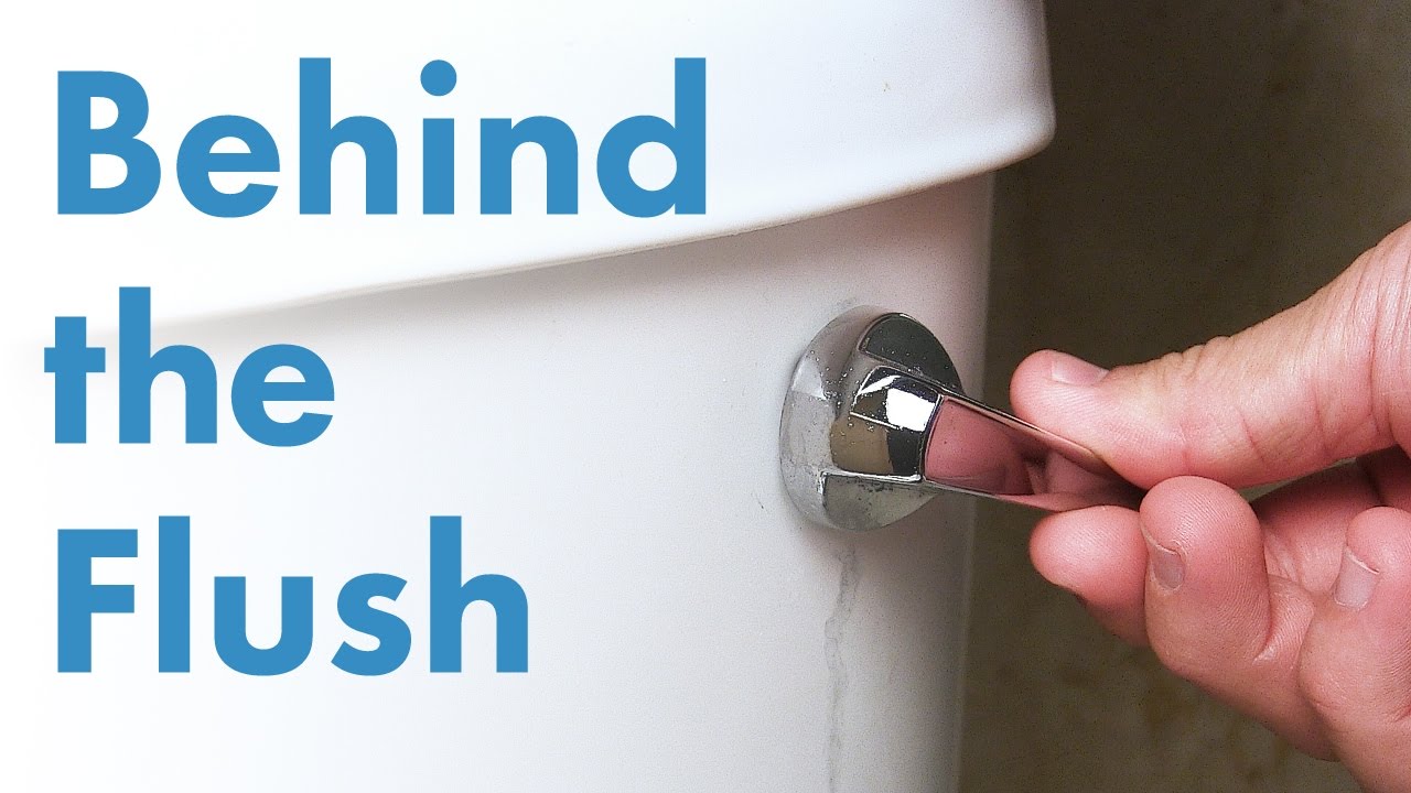 Behind the Flush: San José-Santa Clara Regional Wastewater Facility