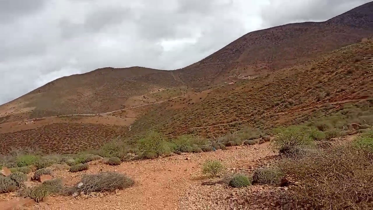 شوفو البادية قبل أمطار الخير الحمد الله #maroc #nature #marocas #الجزائر #اكسبلور