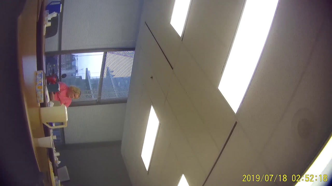 MIRROR - 1 of 8 - Jessica (Jonathan) Yaniv - Human Rights Tribunal - July 16, 2019