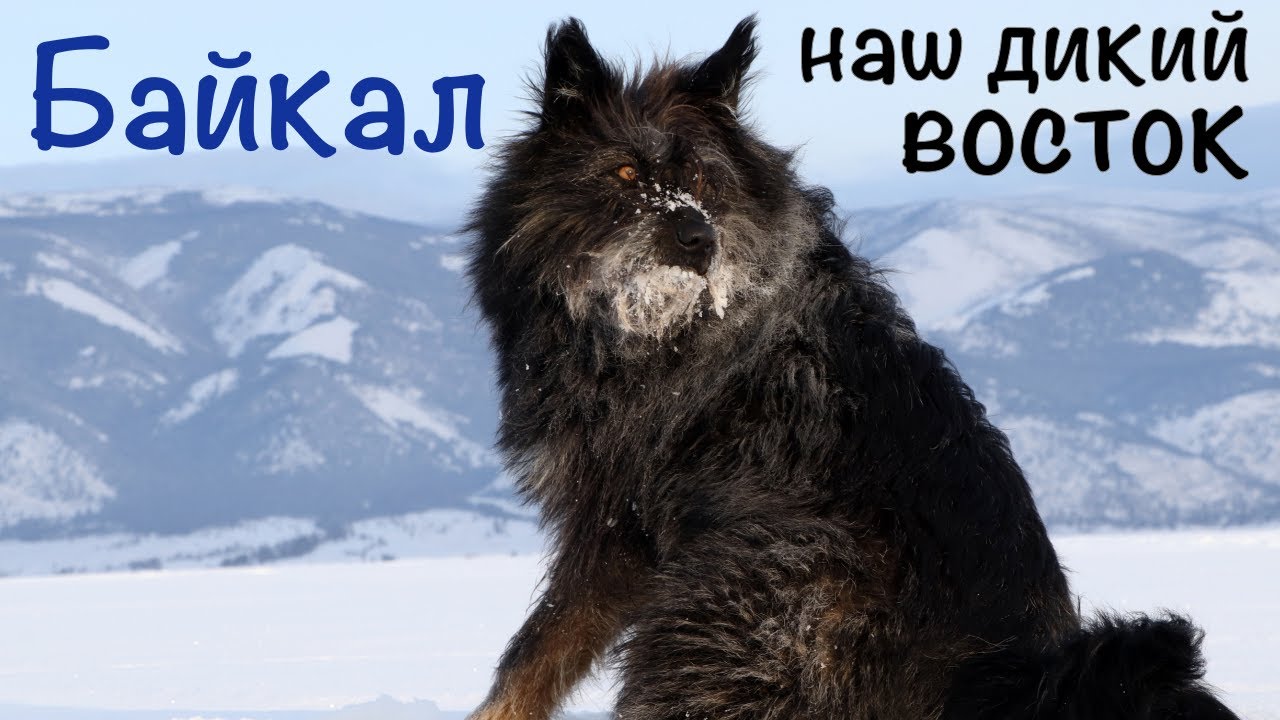 Байкал наш дикий восток