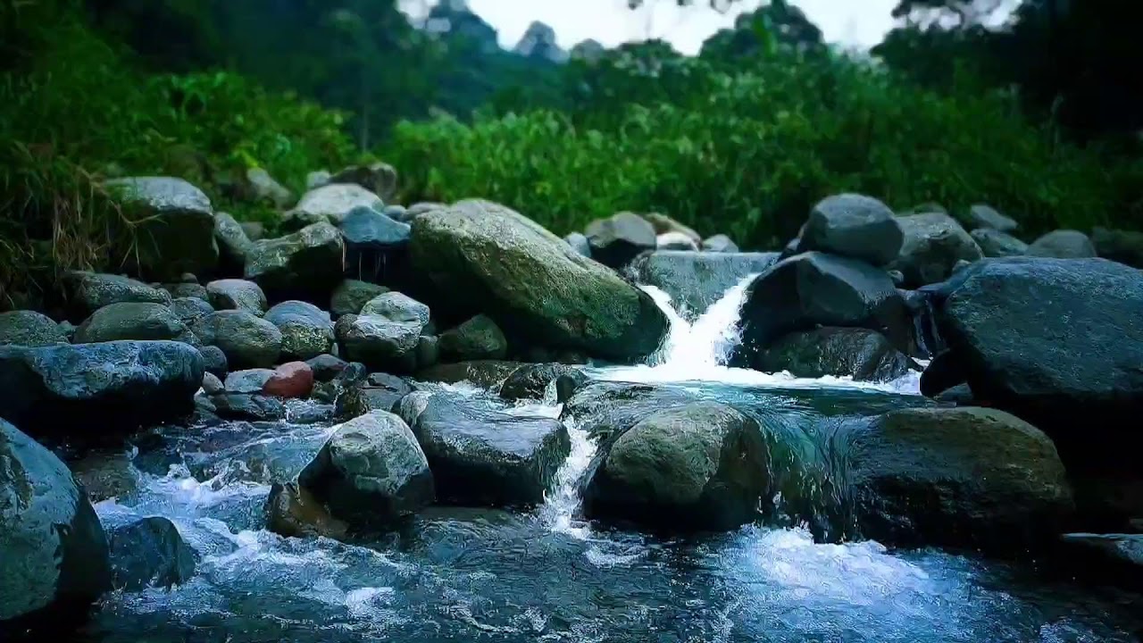 🍃 Calm River Crossing ASMR Sounds for Deep Sleep, Relaxation & Mental Calm