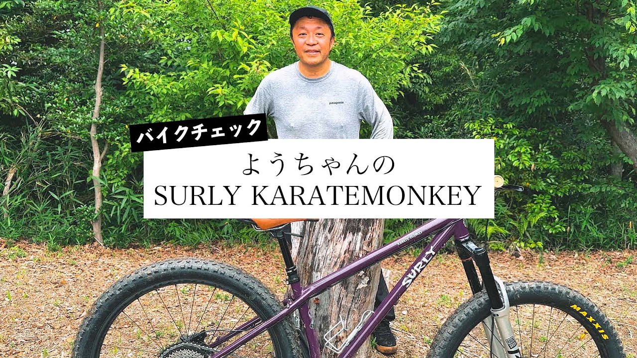 友達のSURLY KARATEMONKEYをバイクチェック！／PIKE ULTIMATE