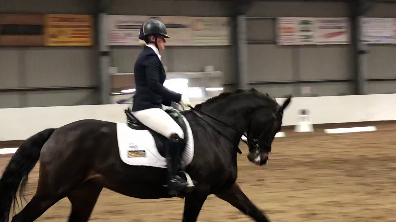 Novice 23 - Rock Diva - Quob - 78.95%