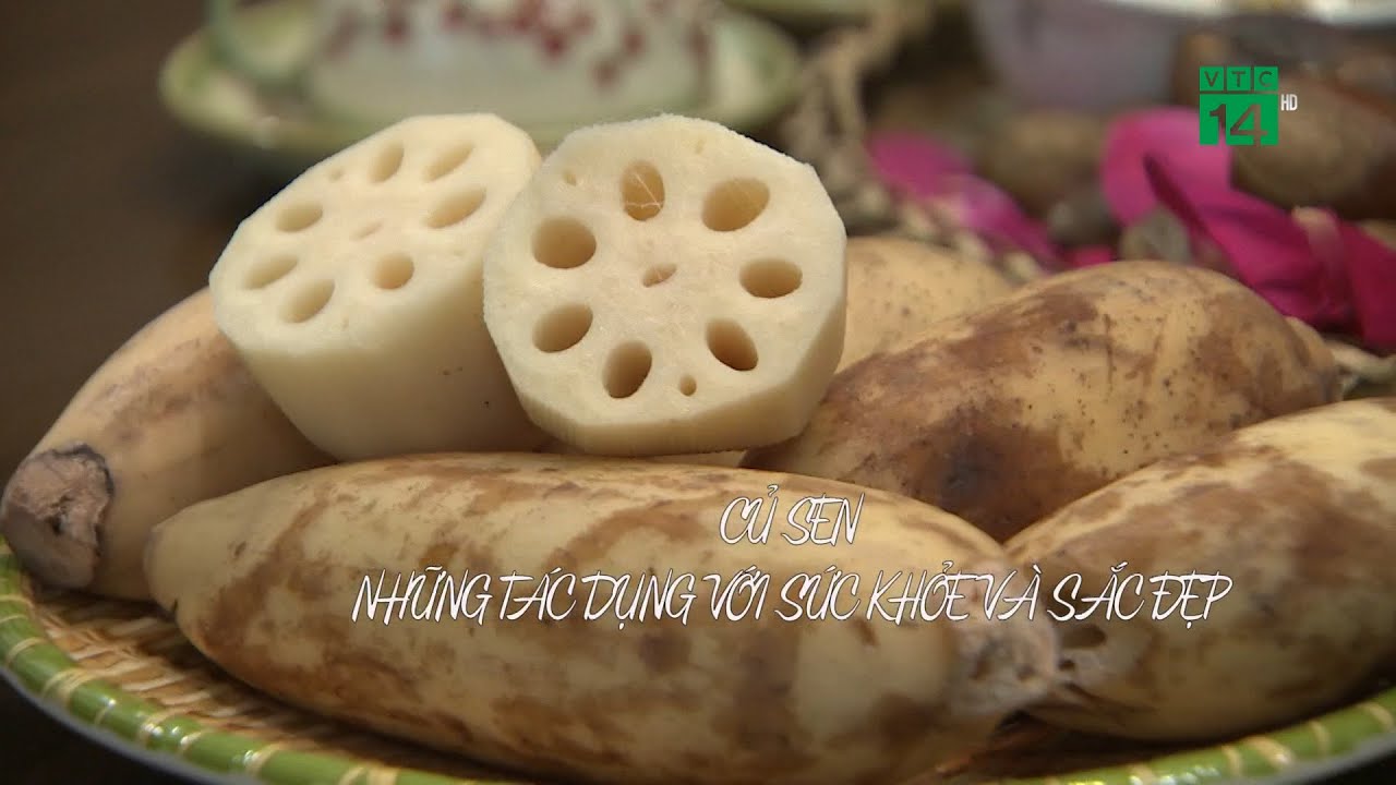 Củ sen - Những tác dụng với sức khỏe và sắc đẹp| VTC14