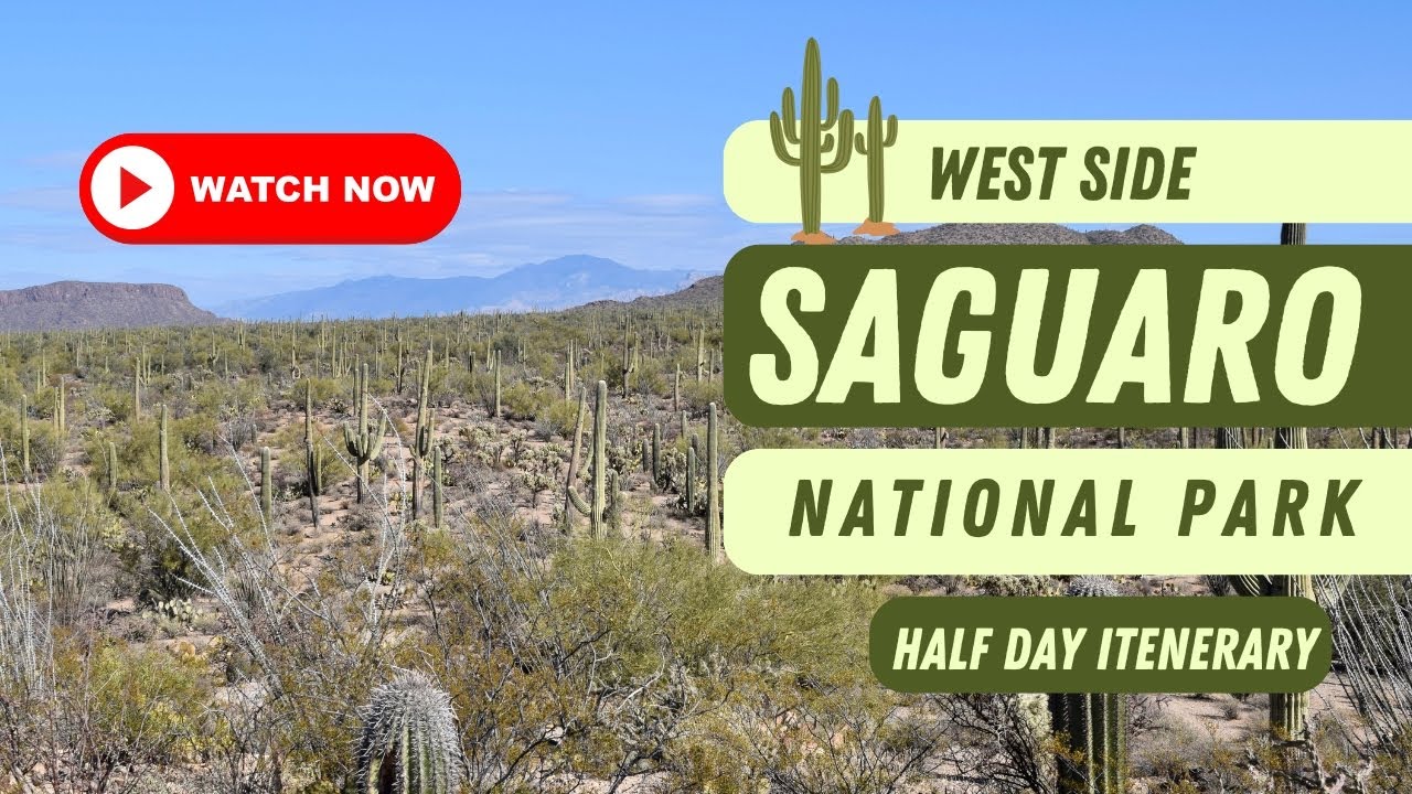 Quick Guide to the Saguaro National Park West Side